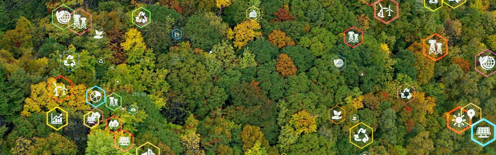 overhead image of colourful trees with symbols overlaid representing environment, social and governance issues