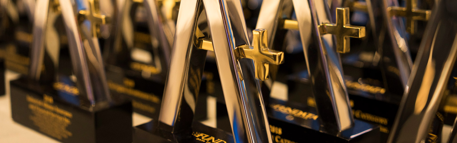Image of multiple FundGrade A+ award trophies